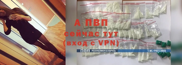 гашик Козловка