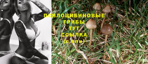 гашишное масло Вяземский