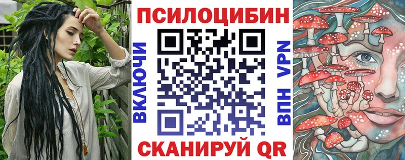 ОМГ ОМГ зеркало  Зима  Псилоцибиновые грибы Psilocybe 
